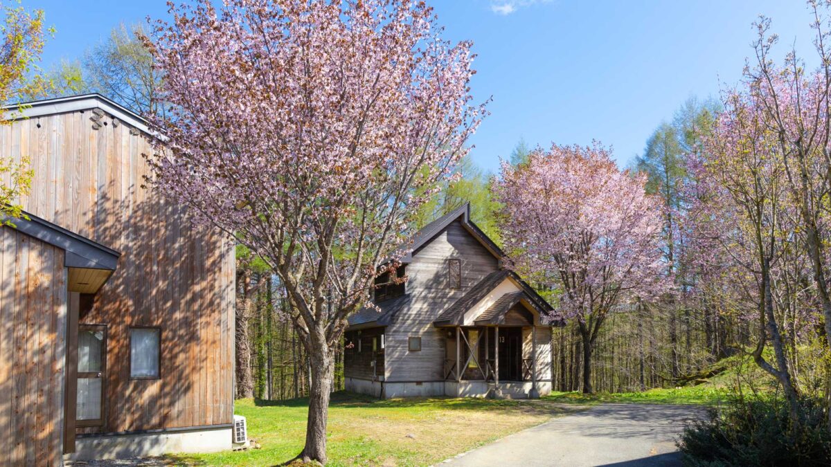 Ｎａｔｕｒｅ Ｃｏｔｔａｇｅ ＡＫＡＢＥＫＯ photo