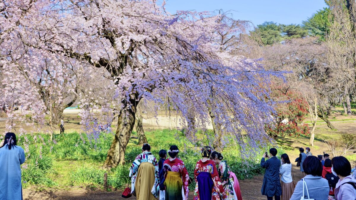 名鉄イン浜松町 photo