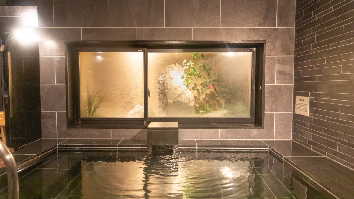 天然溫泉 秀郷の湯 スーパー飯店佐野藤岡 / Natural Hot Spring Hidesato no Yu Super Hotel Sano Fujioka photo