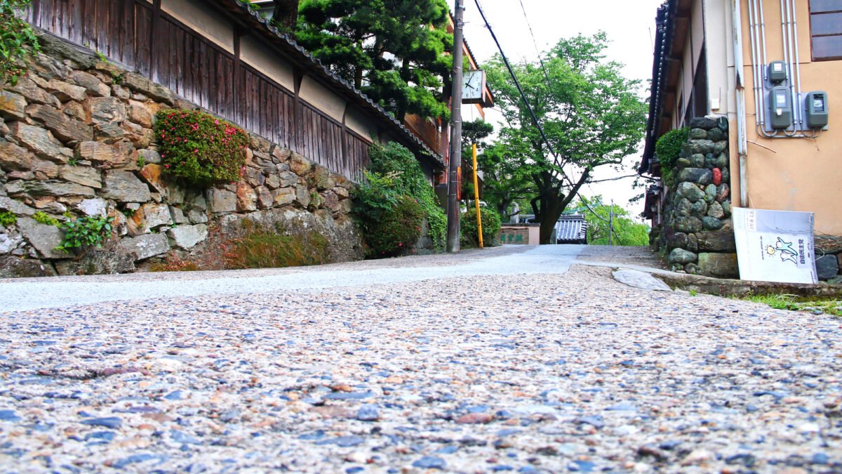 景勝の宿 芳雲館 photo