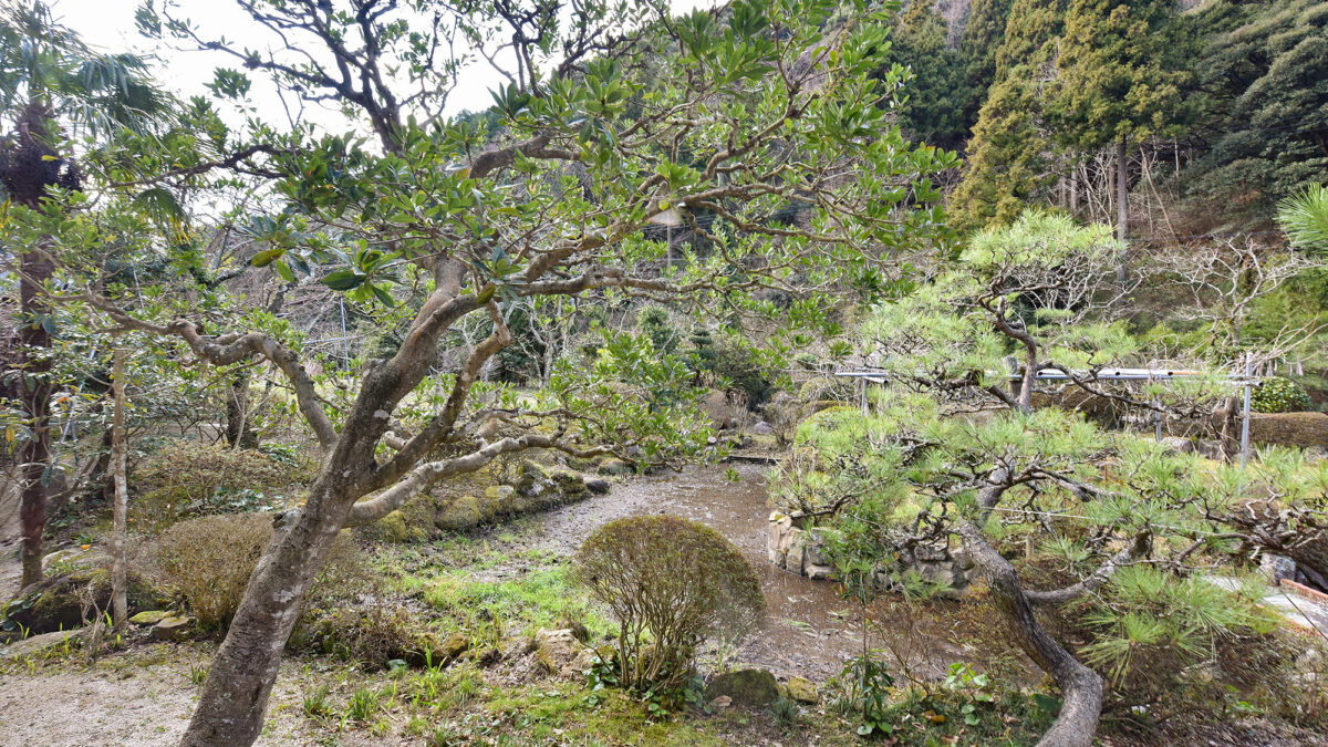 湯迫温泉旅館 photo