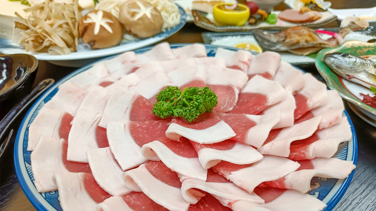 野迫川温泉 ホテルのせ川 photo