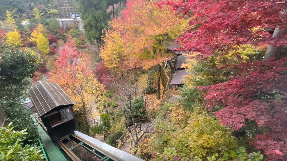 新祖谷温泉 ホテルかずら橋 photo
