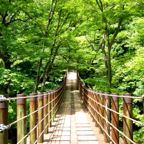 元湯 山田屋旅館 / Motoyu Yamadaya Ryokan photo