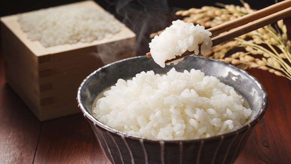 朝食京都府亀岡市で生産されたキヌヒカリを使用