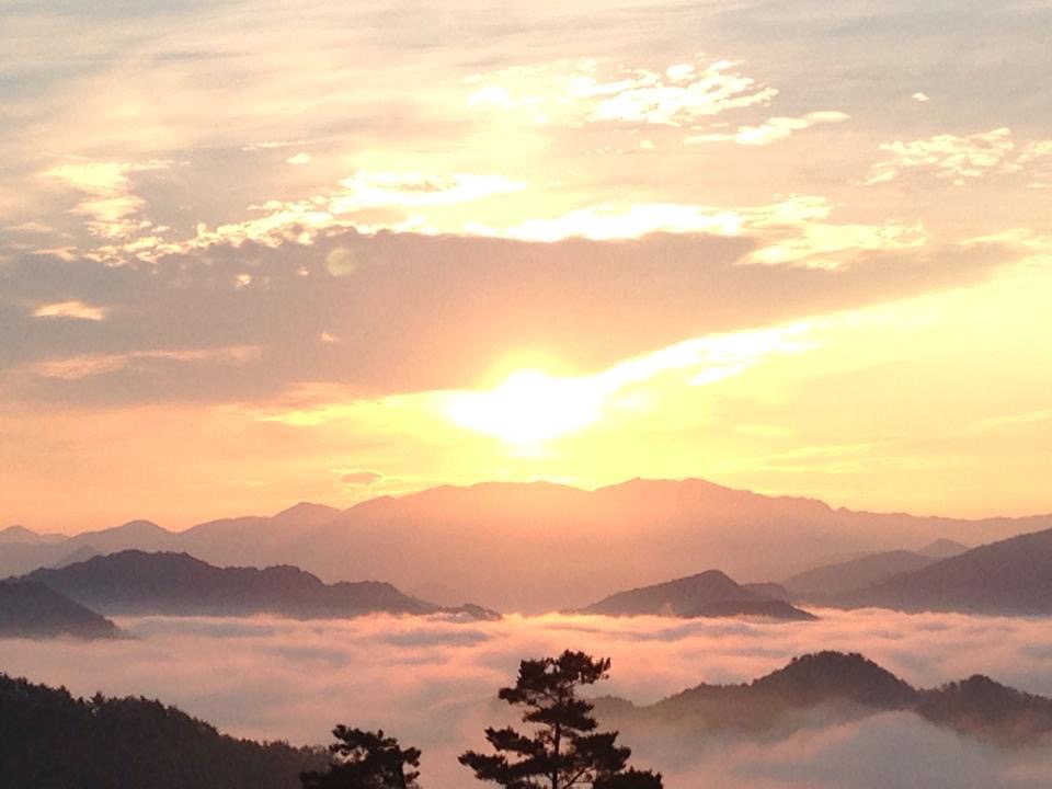 民宿かわらび荘 photo