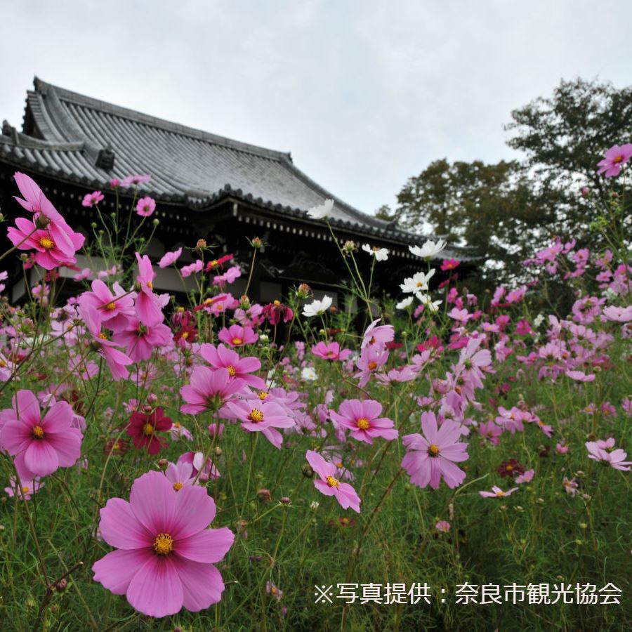 門前おかげ楼 photo