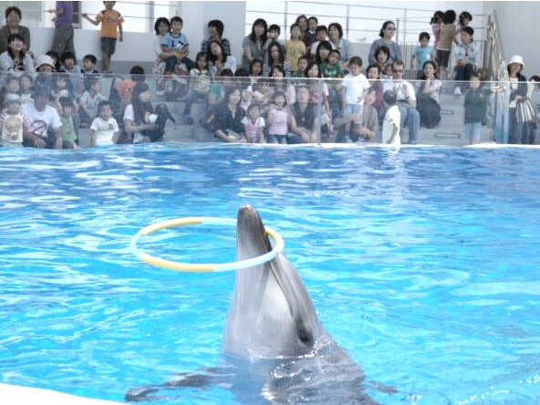 サンウエストホテル佐世保 photo
