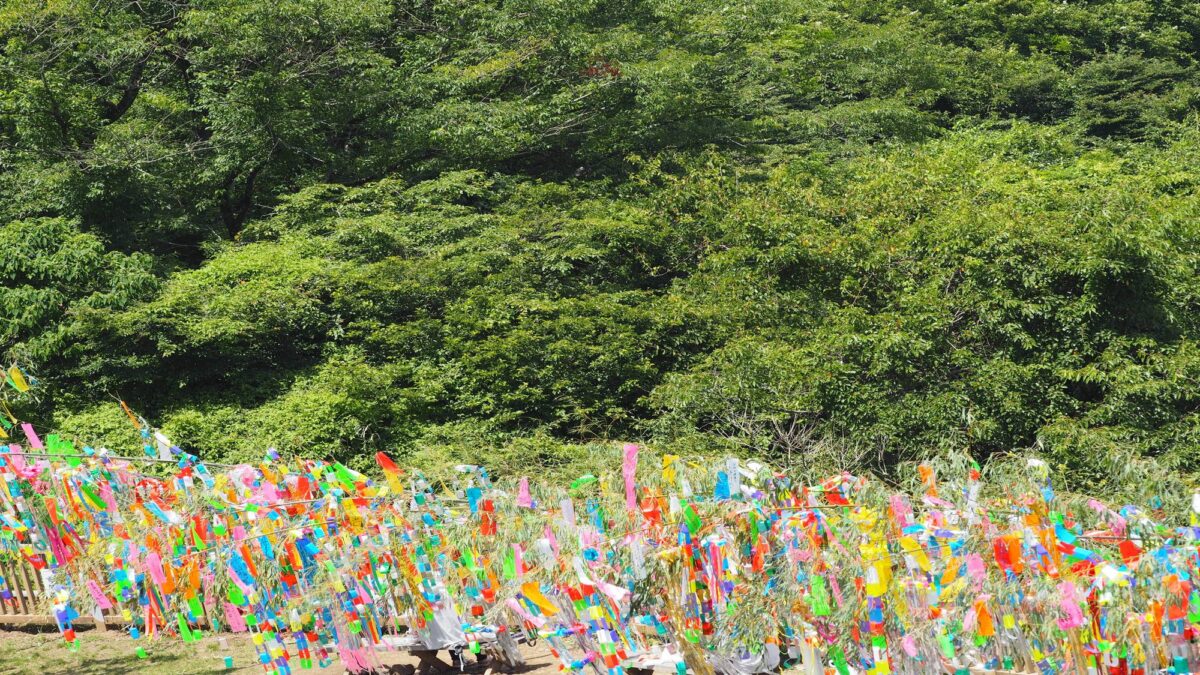 亀の井ホテル 筑波山 photo