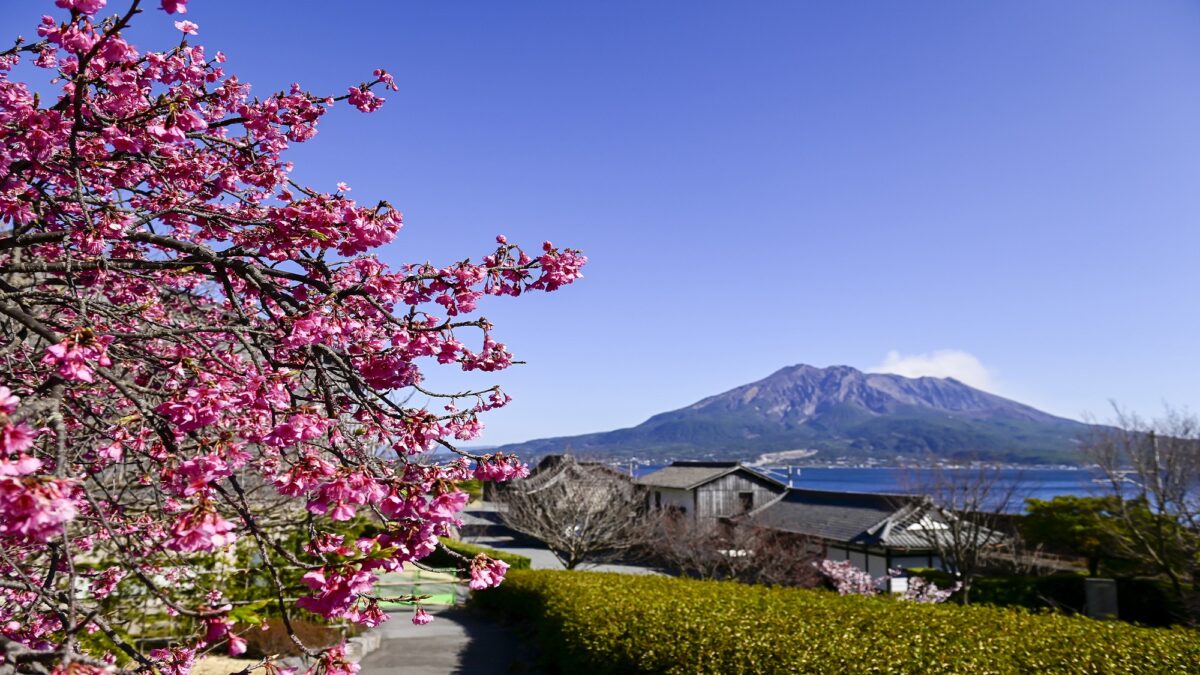 レム鹿児島 photo