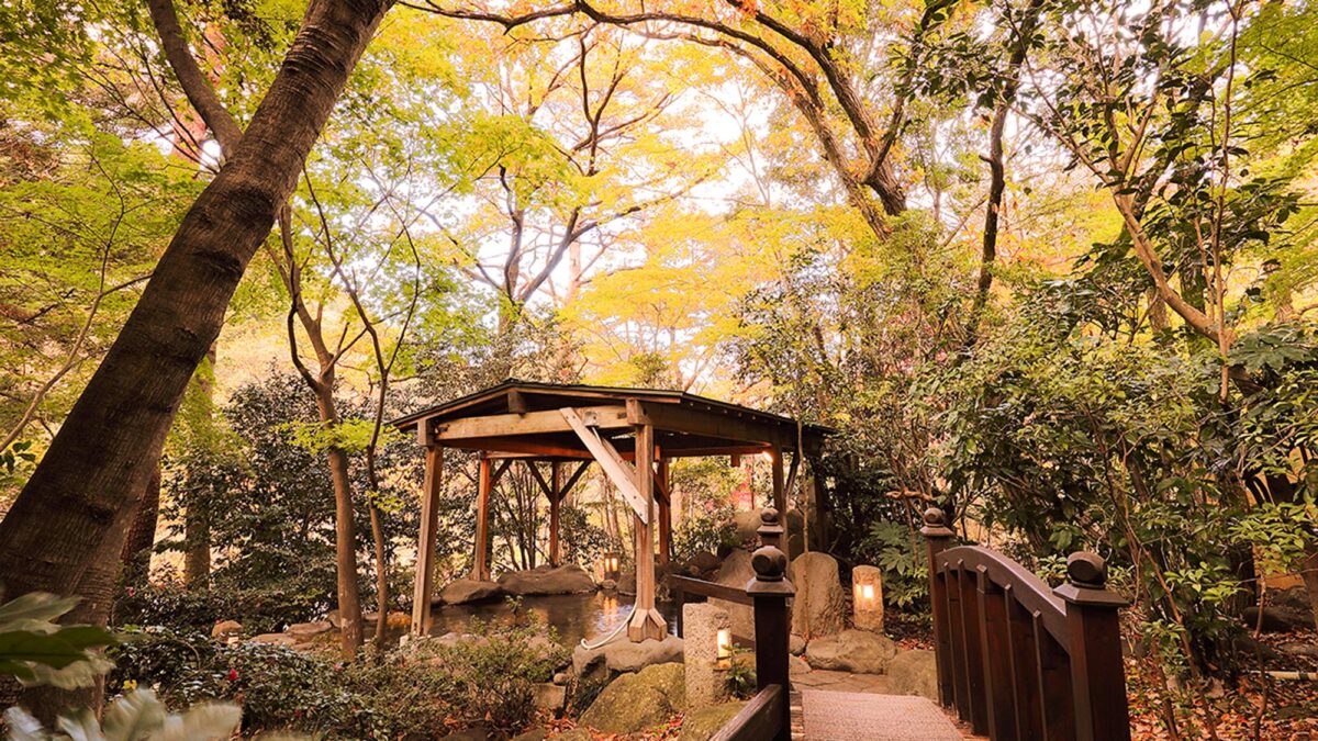 鬼怒川温泉 花の宿 松や photo