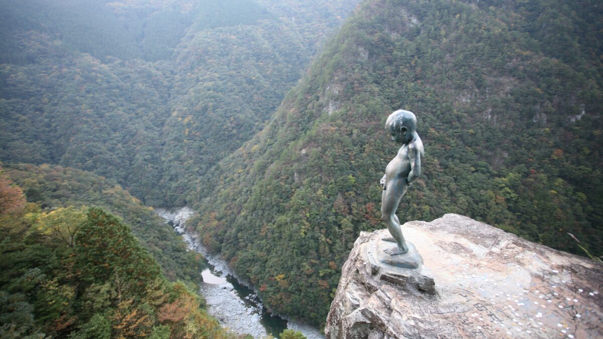 新祖谷温泉 ホテルかずら橋 photo