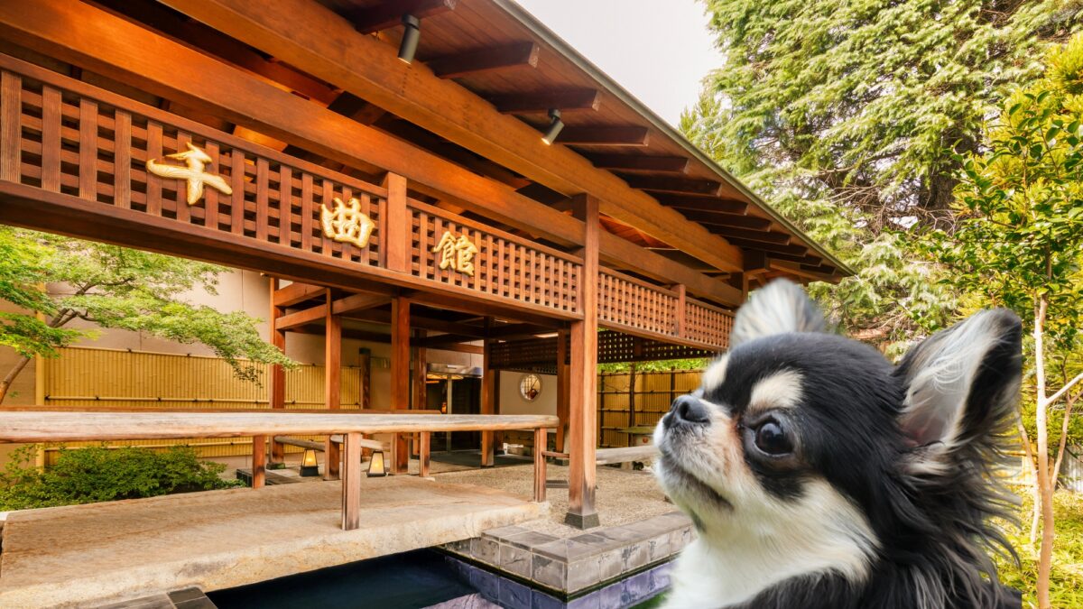 戶倉上山田溫泉 クラブウィンダム千曲館長野 / Tokura Kamiyamada Onsen Club Wyndham Chikumakan Nagano photo