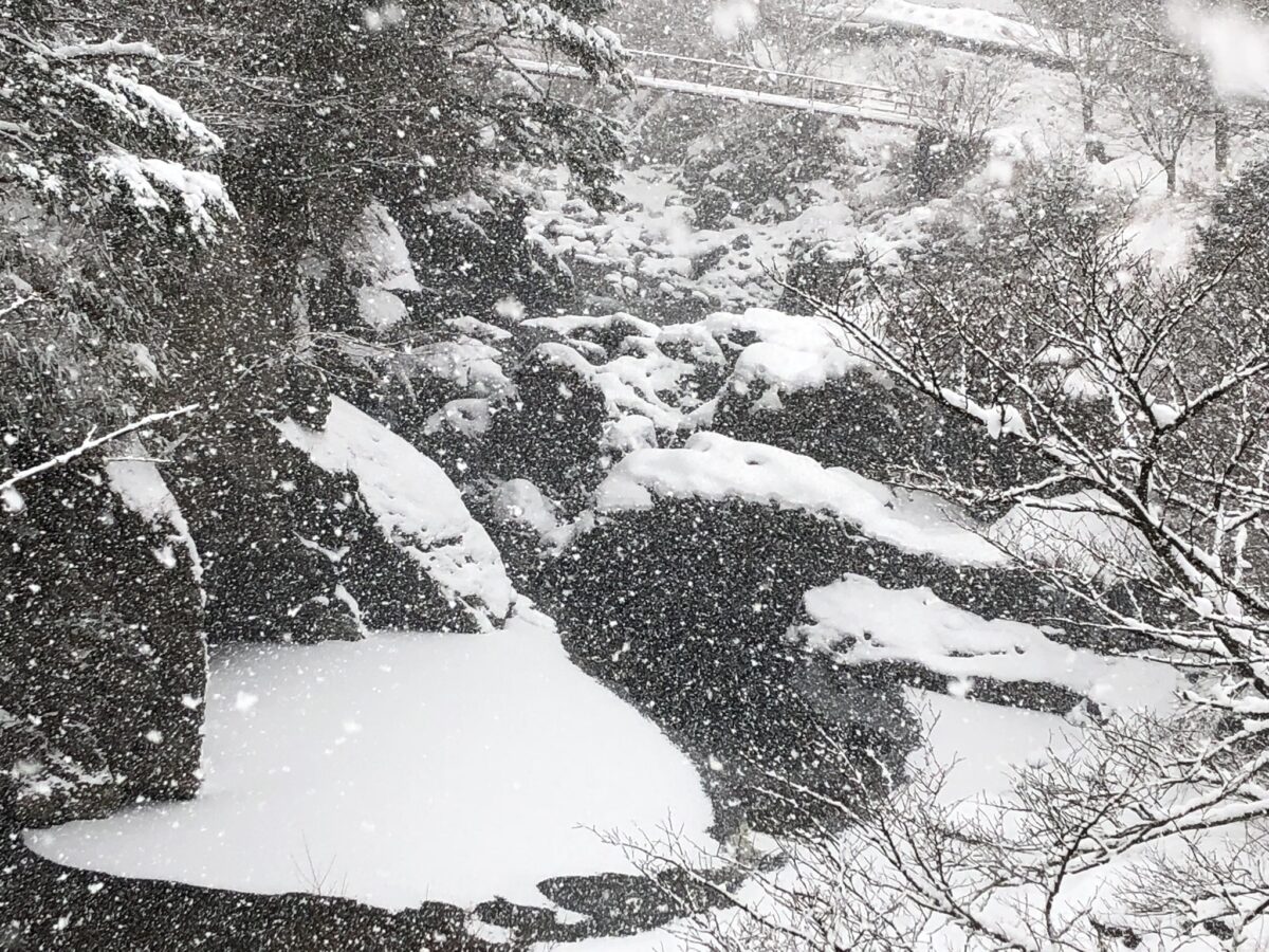 民宿かわらび荘｜熊野古道小辺路・大股登山口に近い山の宿 photo