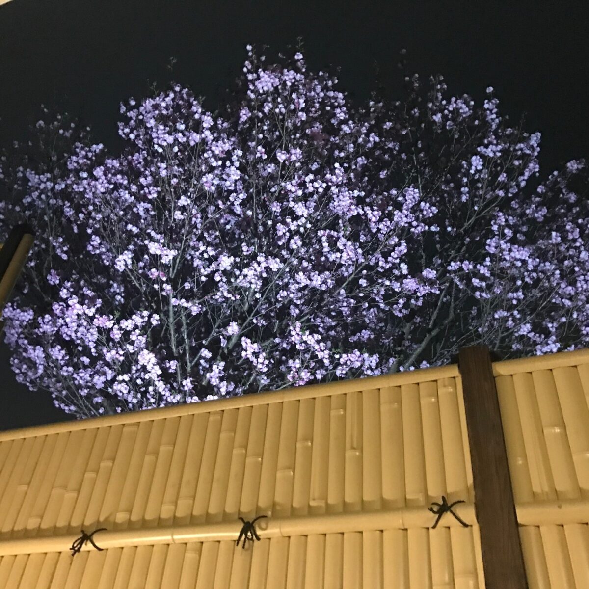 ホテル ルートつくば photo