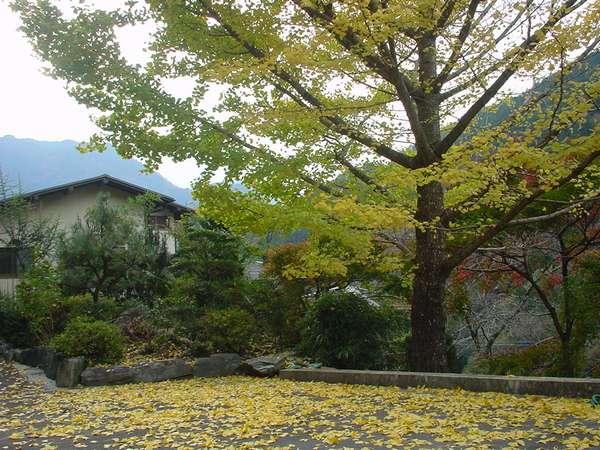 祖谷の宿 かずらや photo