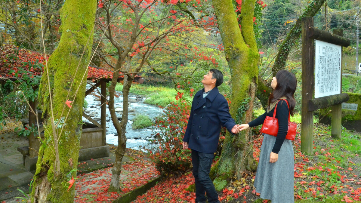 古湯温泉 旅館 大和屋 photo