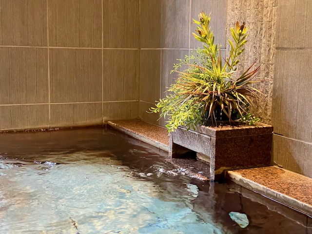 天然温泉 旅人の湯 ホテルルートインGrand中野小布施-信州中野駅前- photo