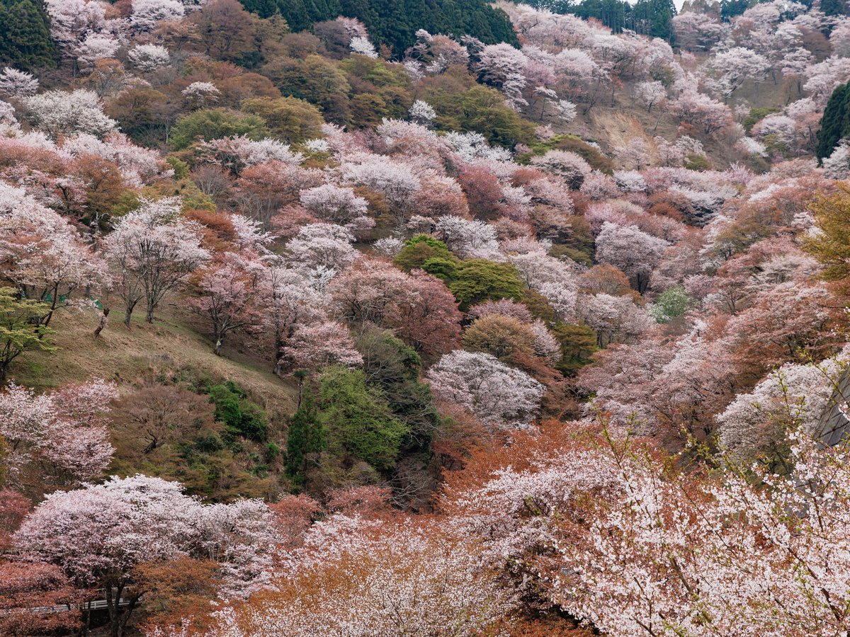 フェアフィールド・バイ・マリオット・奈良天理山の辺の道 photo