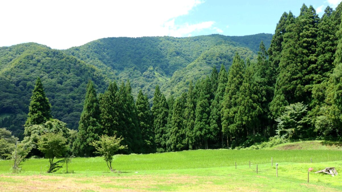 民宿 中の屋 photo