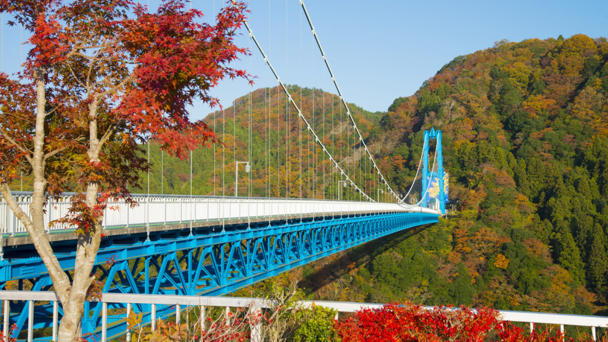 JR東日本ホテルメッツ水戸 photo