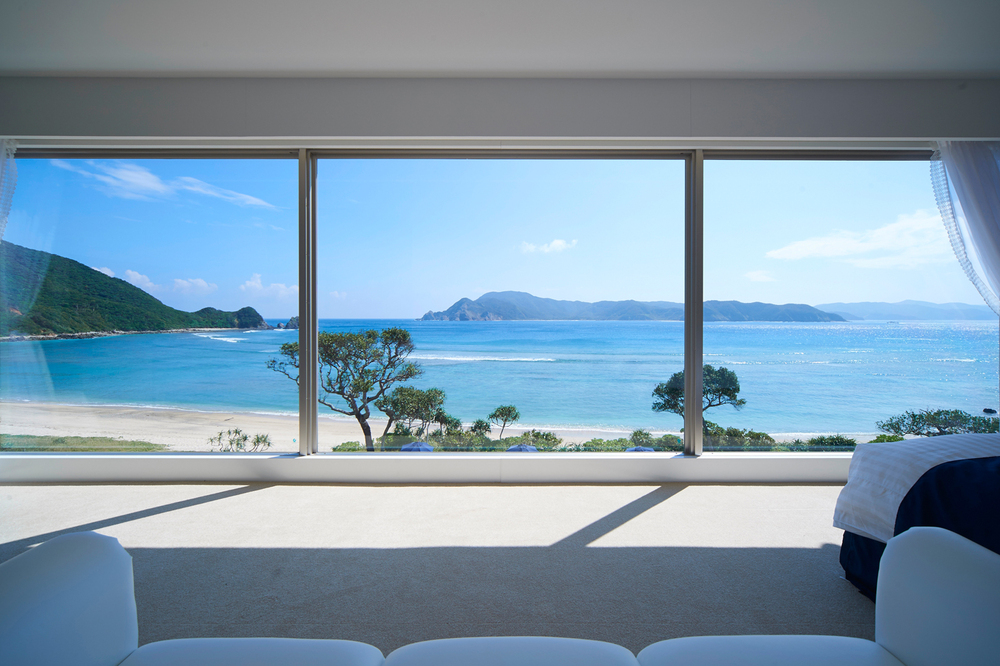 THE SCENE <奄美大島> photo