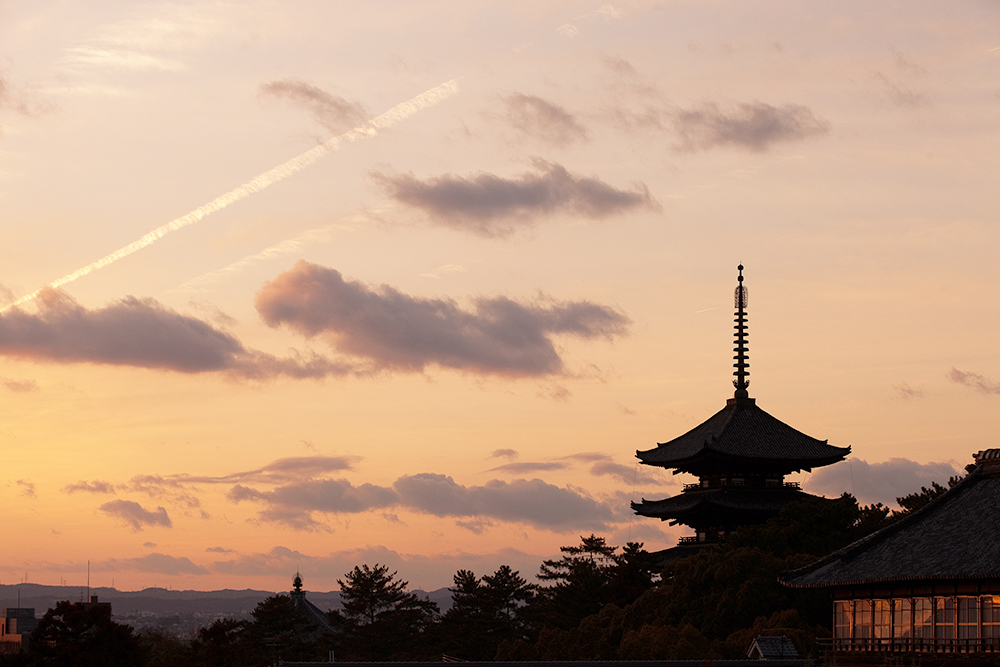 四季亭 photo