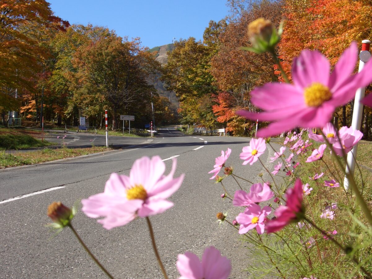 ホテル奥中山高原 photo