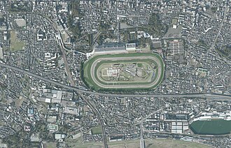 東京競馬場