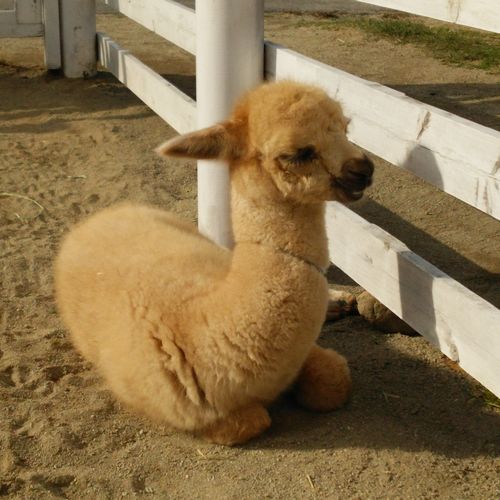ホテルセレクトイン西那須野駅前 photo