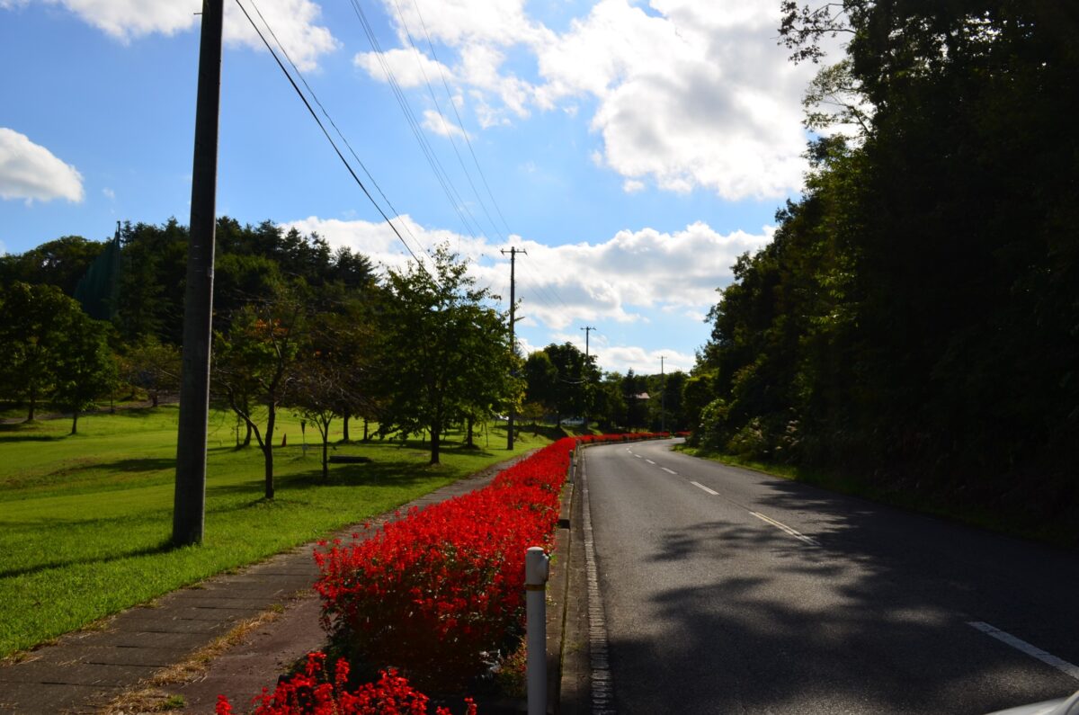 鷹野湯温泉 パレス松風 photo