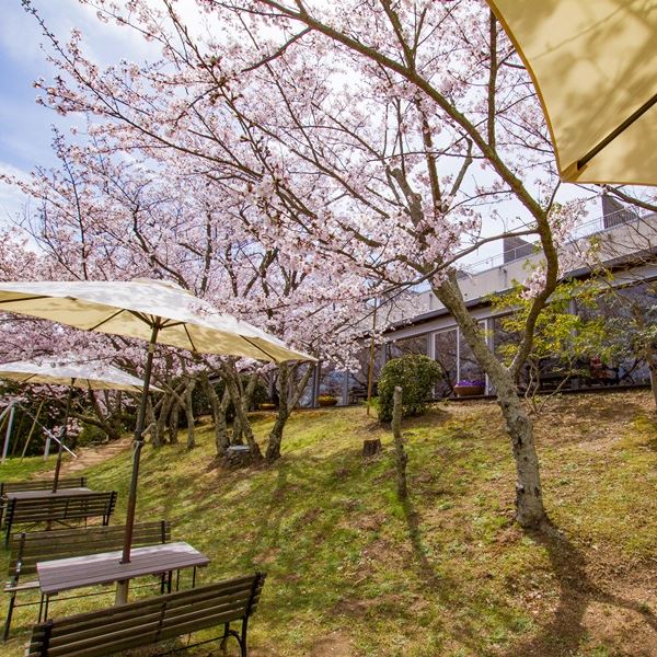 リゾートホテル モアナコースト photo