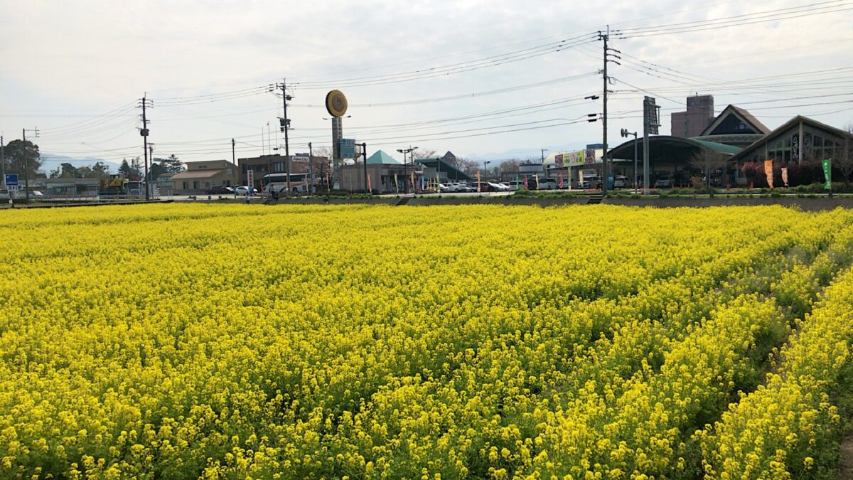 原鶴温泉 原鶴グランドスカイホテル（BBHホテルグループ） photo
