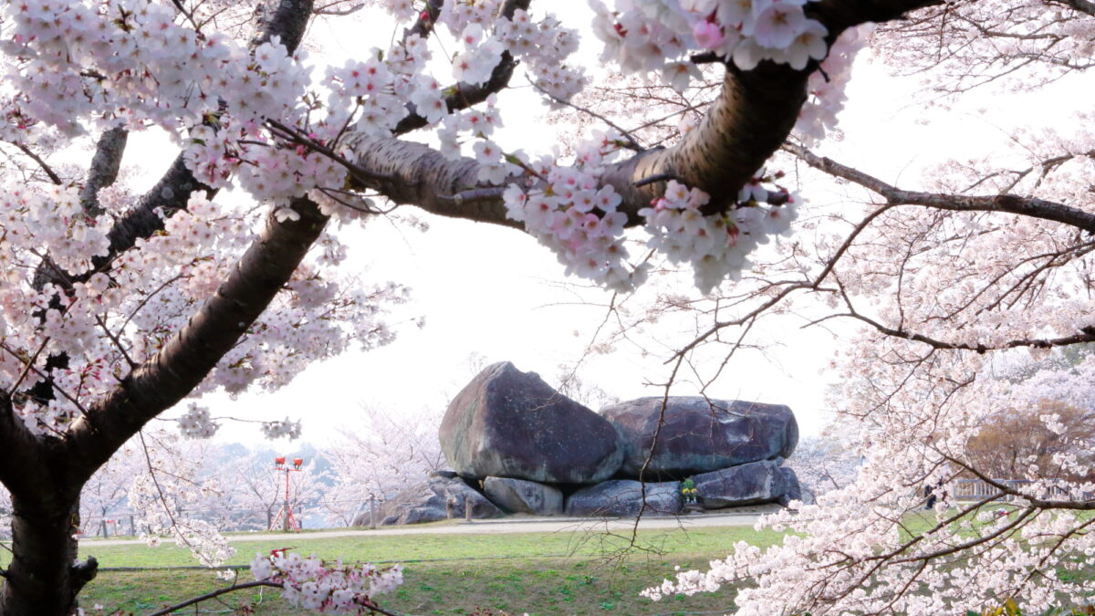 ホテル日航奈良 photo