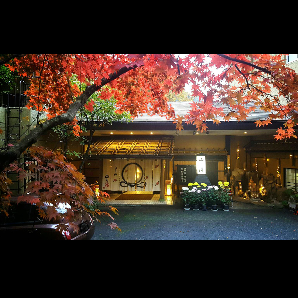 宝泉寺温泉 ペットと泊まれる宿 季の郷 山の湯 photo