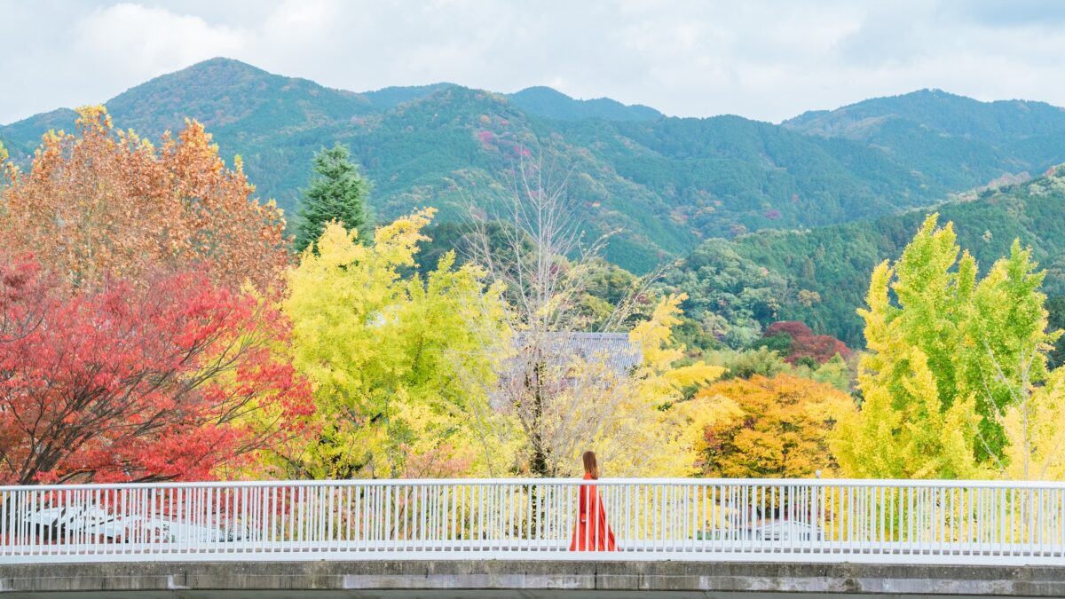 フェアフィールド・バイ・マリオット・奈良天理山の辺の道 photo