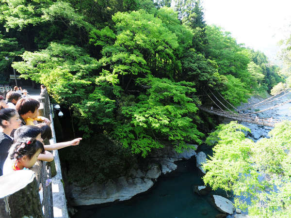 祖谷の宿 かずらや photo