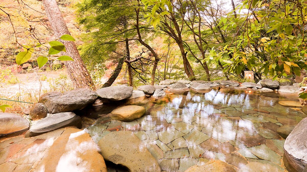 鬼怒川温泉 花の宿 松や photo