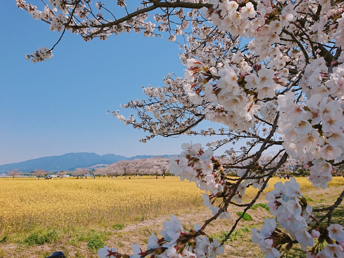 ゲストハウスはじまり photo