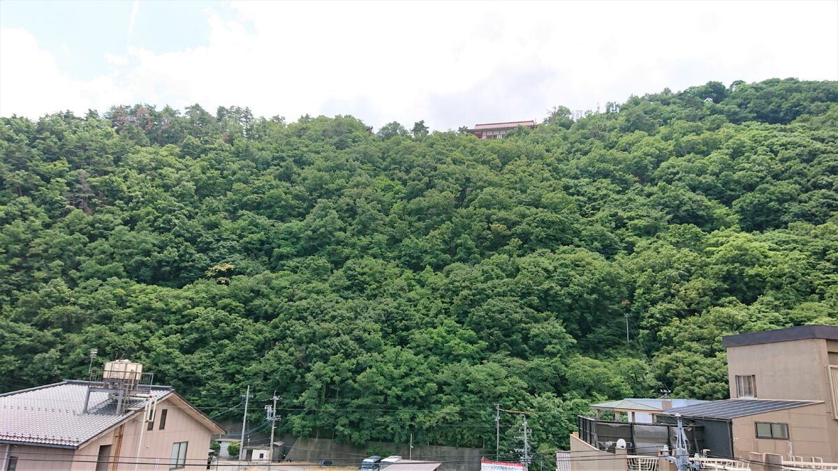 戸倉上山田天然溫泉「城山源泉」飯店ルートイン上山田溫泉 / Hotel Route Inn Kamiyamada Onsen photo