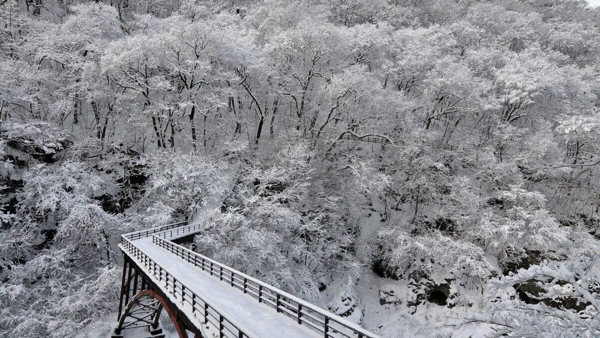 鬼怒川温泉 鬼怒川プラザホテル photo