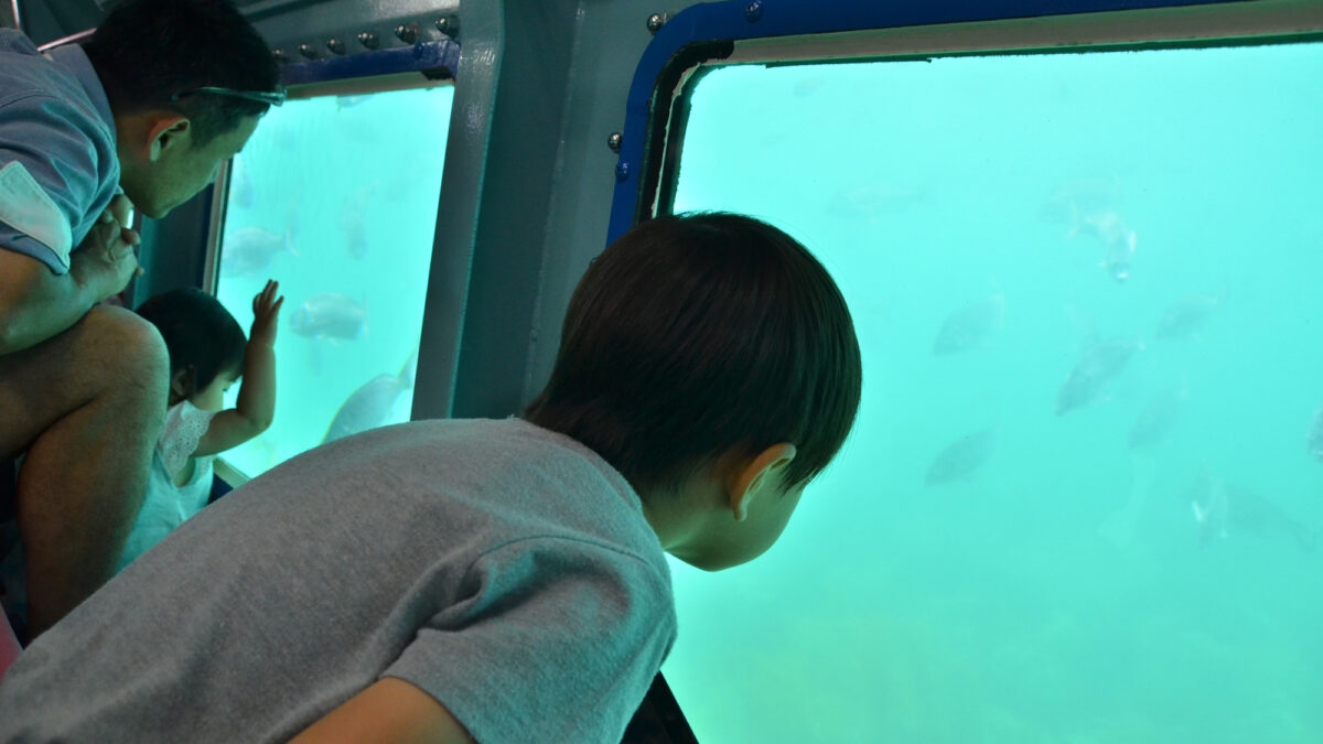 旅館 金丸 photo