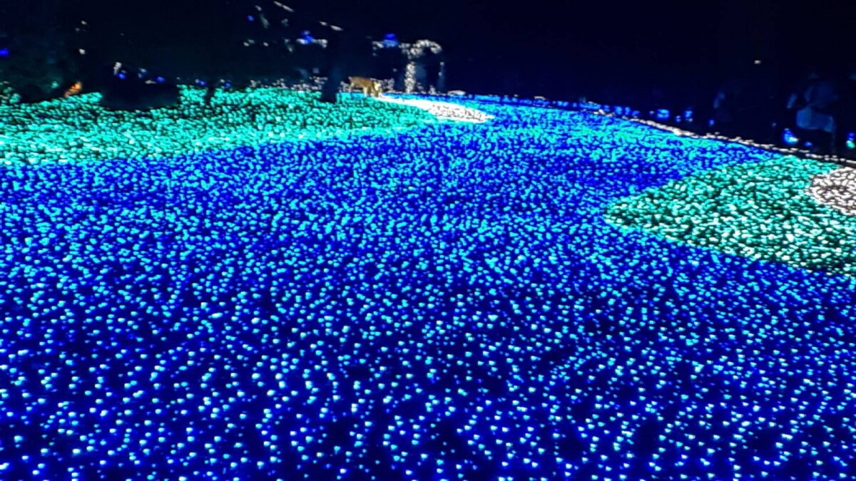 古都の宿 むさし野 photo