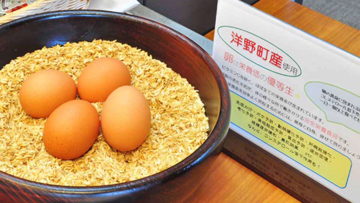 グリーンヒルおおの photo