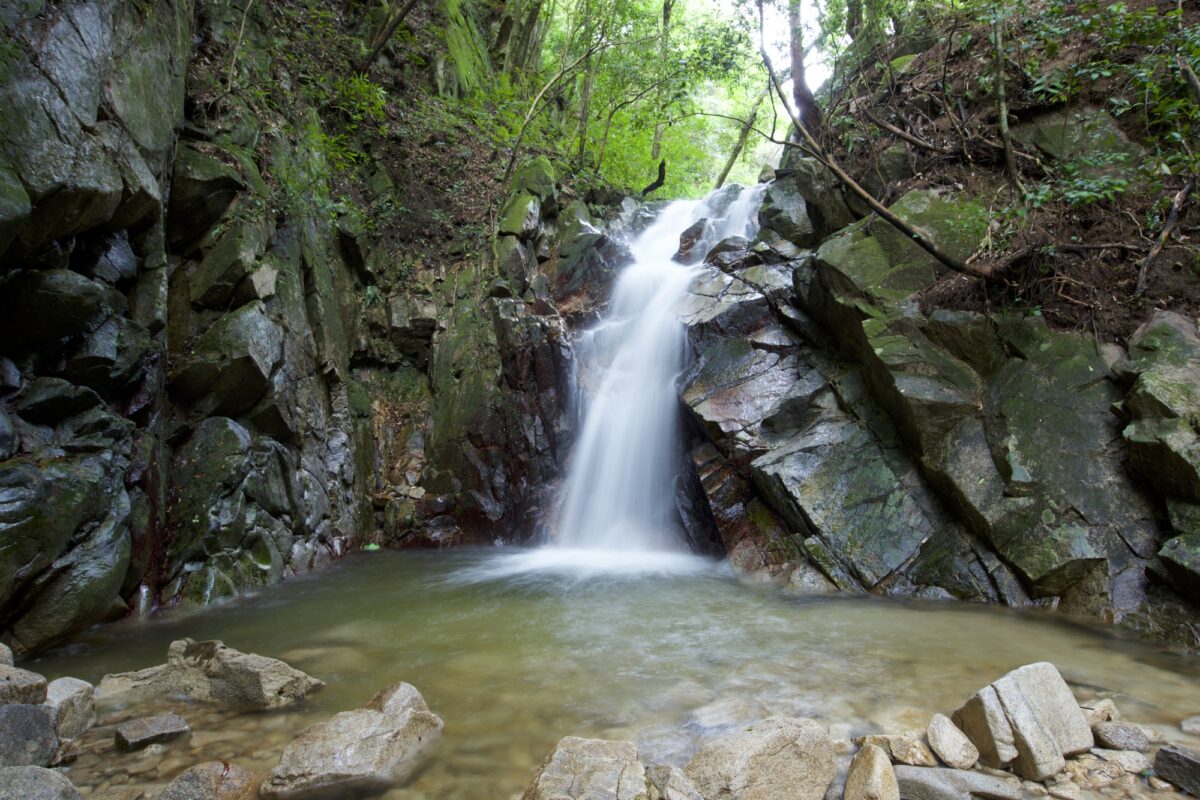 サンホテル鳥栖 photo