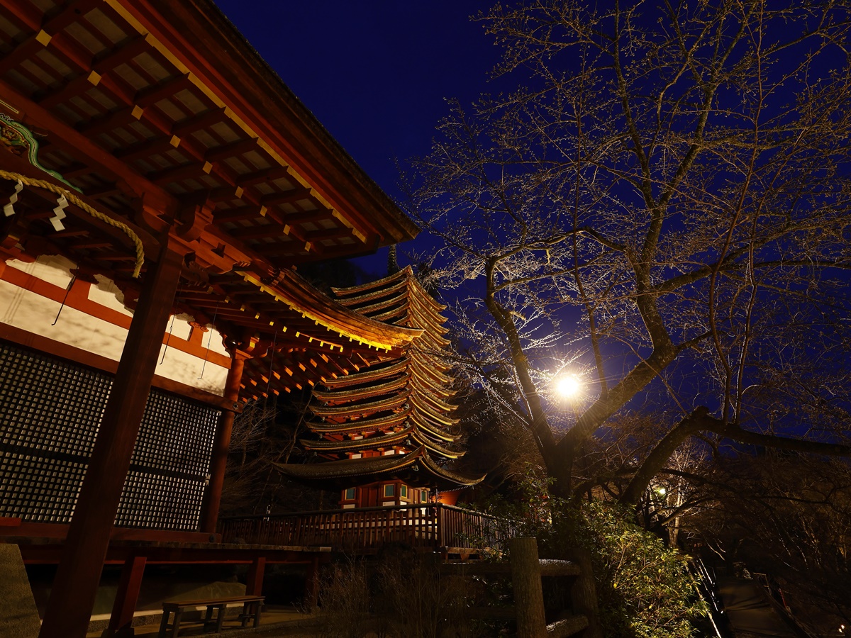 多武峰観光ホテル photo