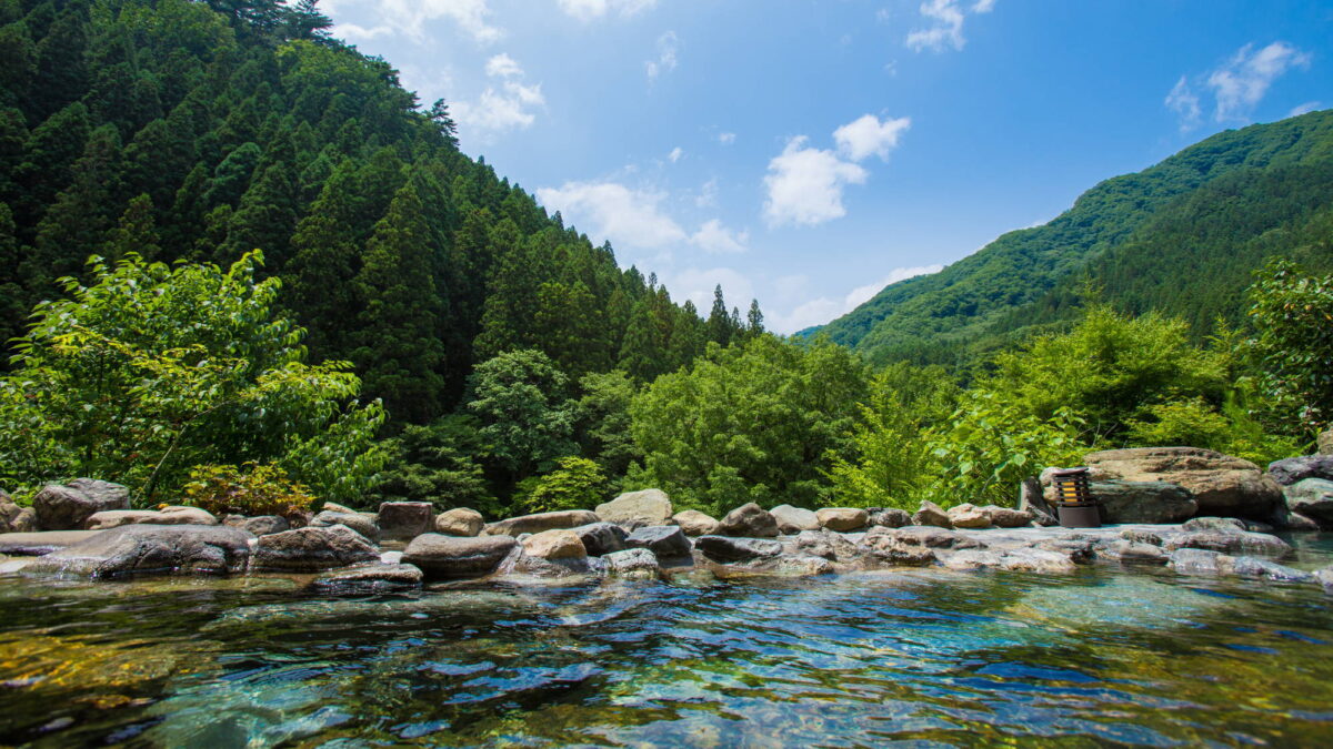 谷川温泉 水上山荘 photo