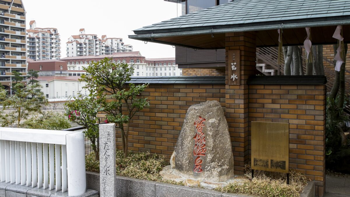 宝塚温泉 ホテル若水 photo