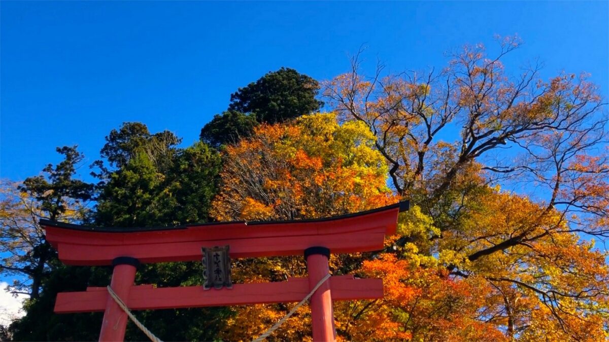 ホテルタングラム 斑尾東急リゾート photo