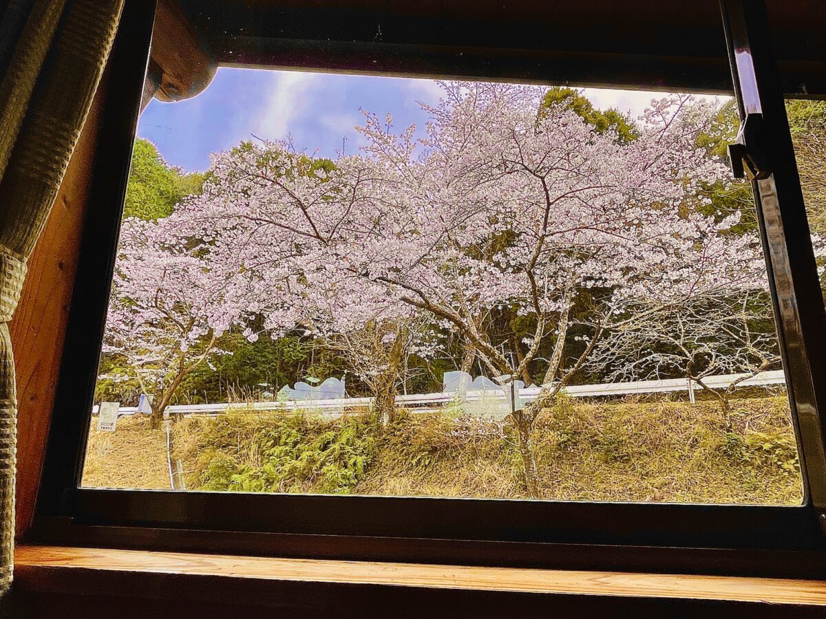 ペンション ししくい photo